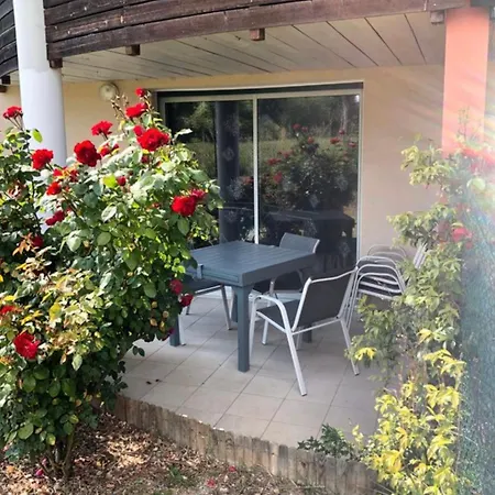 Le Cocon De Stef Apartamento