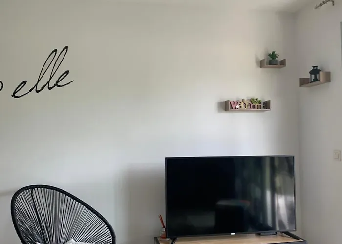 Le Cocon De Stef Appartement Salies-de-Béarn